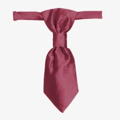 Romano Vianni Boys Burgundy Waistcoat & Adjustable Tie Set 9 Romano Vianni Boys Burgundy Waistcoat & Adjustable Tie Set -Casual Wear Co Shop romano boys burgundy waistcoat adjustable tie set 115660 71e8c1dd99c8f035d8077007b8c1c6e90fd4708e