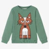Stella McCartney Kids Boys Green Cotton Sweatshirt